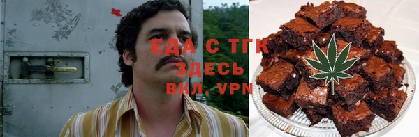 индика Дмитриев
