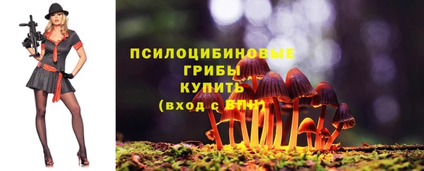 мет Баксан