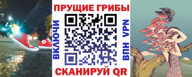 Галлюциногенные грибы MAGIC MUSHROOMS  Кяхта 